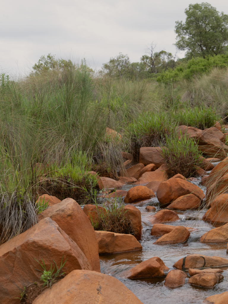 Thaba Metsi